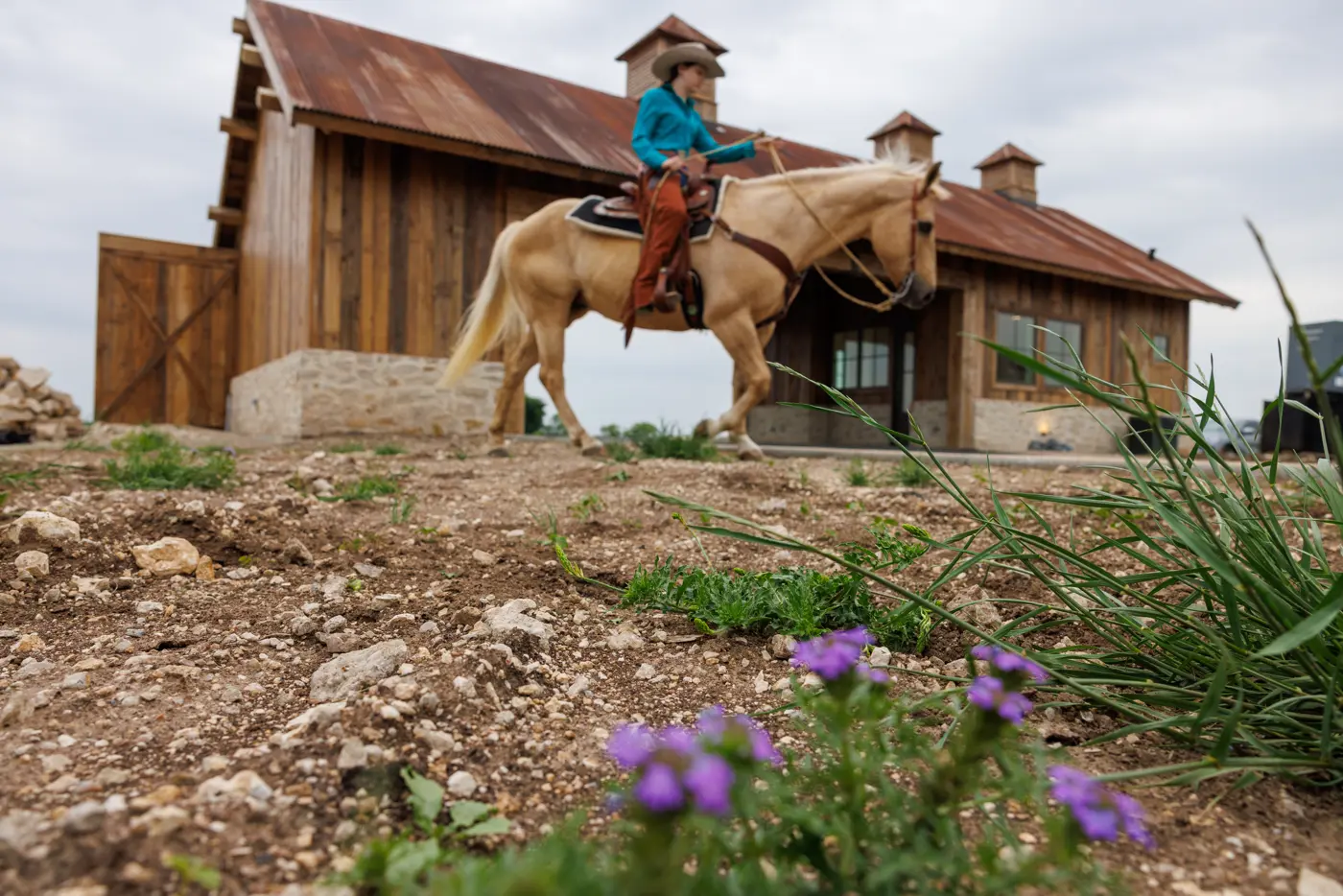 Rider on a palomino horse in front of the barn at Bluejack Ranch